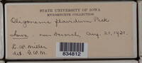 Image Associated With the Occurence